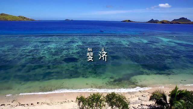 “空中草莓”采摘新体验